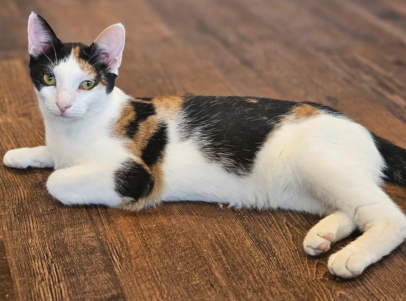 Cherie waiting for you.