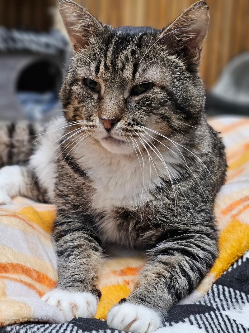 Buddy I is handsome!