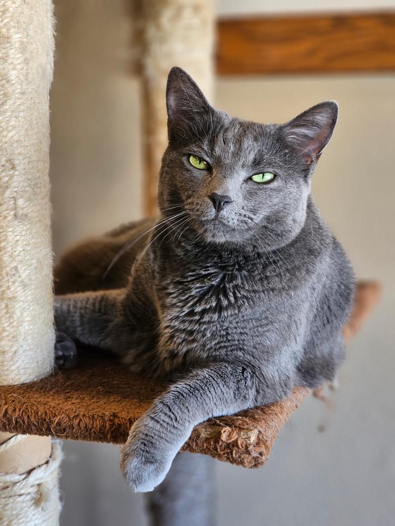 Quinn just hangin' waiting for you!