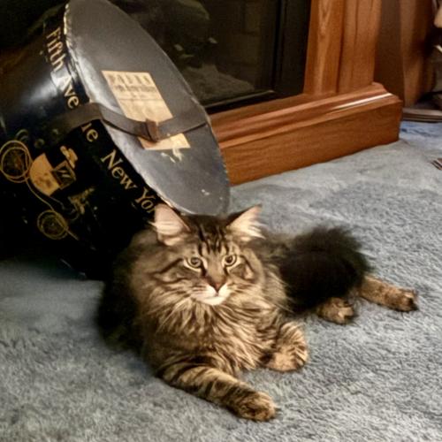 In his new home
