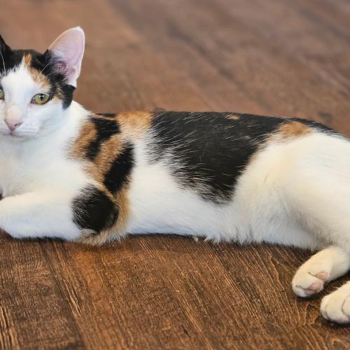 Cherie waiting for you.