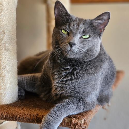 Quinn just hangin' waiting for you!
